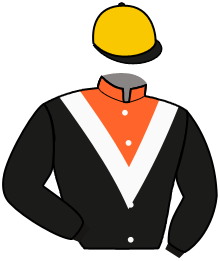 casaque portée par Soumillon C. jockey du cheval de course AUDUBON PARK, information pmu ZETURF