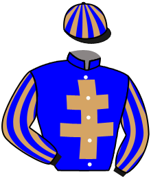 casaque portée par Shoemark K. jockey du cheval de course TRIBAL CHIEF, information pmu ZETURF