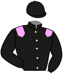 casaque portée par Lemaitre A. jockey du cheval de course ALMIRO, information pmu ZETURF