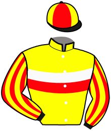 casaque portée par Marie Benj. jockey du cheval de course VILLA DES ARTS, information pmu ZETURF