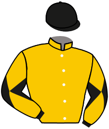 casaque portée par Shoemark K. jockey du cheval de course LUTHER, information pmu ZETURF