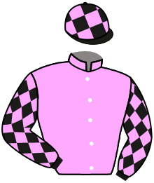 casaque portée par Foley S. jockey du cheval de course HOTAZHELL, information pmu ZETURF