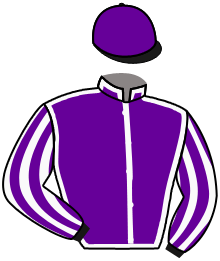 casaque portée par Levey S. jockey du cheval de course SERENGETI, information pmu ZETURF