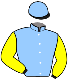 casaque portée par Roussel Th. jockey du cheval de course KHEOPS BOURBON, information pmu ZETURF