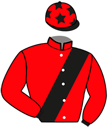 casaque portée par Diger Ch. jockey du cheval de course HAMAYA VICI, information pmu ZETURF