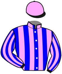 casaque portée par Dromigny T. jockey du cheval de course HATLAS DE MOUTIERS, information pmu ZETURF