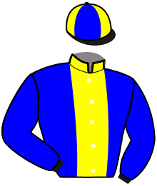 casaque portée par Lelievre Meh. jockey du cheval de course FIDELIO DU LOISIR, information pmu ZETURF