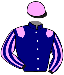 casaque portée par Verva Pie. Y. jockey du cheval de course INEDIT DU PAVILLON, information pmu ZETURF
