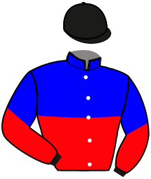 casaque portée par Mottier M. jockey du cheval de course JICKY DE L'ITON, information pmu ZETURF