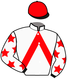 casaque portée par Martens C. jockey du cheval de course KANSAS DE CASTELLE, information pmu ZETURF