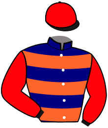 casaque portée par Trihollet A. jockey du cheval de course JANNIG D'EREVAN, information pmu ZETURF
