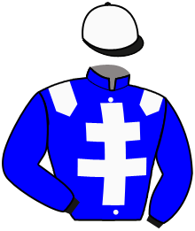 casaque portée par Desmigneux F. jockey du cheval de course KRONOS DU KLAU, information pmu ZETURF