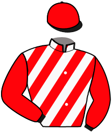 casaque portée par Lenoir M. jockey du cheval de course MILLESIME STAR, information pmu ZETURF