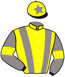 casaque portée par Raimbault C. jockey du cheval de course LA TRIOMPHANTE, information pmu ZETURF