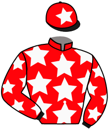casaque portée par Raimbault C. jockey du cheval de course MER NOIR, information pmu ZETURF
