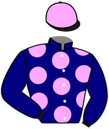 casaque portée par Lebouc Hug. jockey du cheval de course WOODWIND DAVIS, information pmu ZETURF