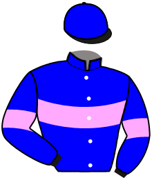 casaque portée par Koubiche Jér. jockey du cheval de course MARIO DU CAIEU, information pmu ZETURF