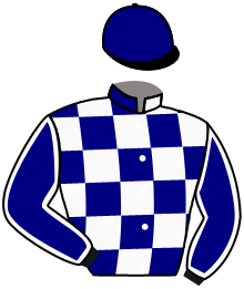 casaque portée par Gavilan Ale. jockey du cheval de course NOBLE D'ARGENT, information pmu ZETURF
