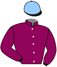 casaque portée par Sanchez Gar. jockey du cheval de course GORA ERREALA, information pmu ZETURF