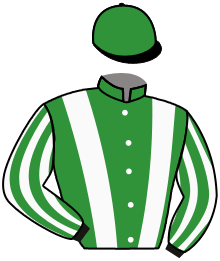 casaque portée par Romary Mlle M. jockey du cheval de course HM CHAWLAH, information pmu ZETURF