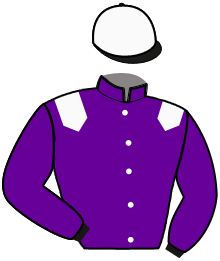 casaque portée par Bekaert D. jockey du cheval de course L'AVENTURE DE YOR, information pmu ZETURF