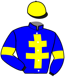 casaque portée par Desmottes A. jockey du cheval de course LA TRINITE NEMO, information pmu ZETURF
