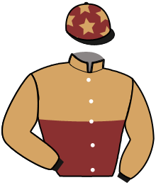 casaque portée par Abrivard A. jockey du cheval de course MINA DE BASSIERE, information pmu ZETURF