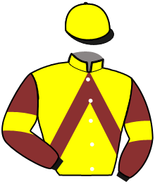 casaque portée par Busset Th. jockey du cheval de course MIMI WILLIAMS, information pmu ZETURF