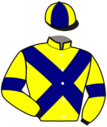 casaque portée par Lerenard A. jockey du cheval de course JAMES DE LA VALLEE, information pmu ZETURF