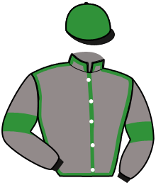 casaque portée par Olivier D. M. jockey du cheval de course INCISIF VAUCEEN, information pmu ZETURF