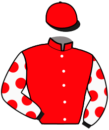 casaque portée par Abrivard M. jockey du cheval de course ILTON DE BELLANDE, information pmu ZETURF