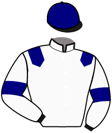 casaque portée par Boudet F. jockey du cheval de course LET'S GO HAUFOR, information pmu ZETURF