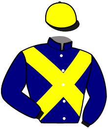 casaque portée par Joly R. jockey du cheval de course LIZAO DU GUESCLIN, information pmu ZETURF