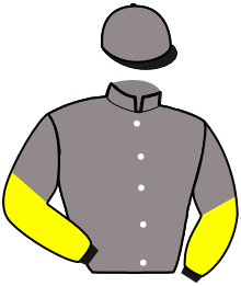 casaque portée par Bodin Ale. jockey du cheval de course LINGOT D'ARGENT, information pmu ZETURF
