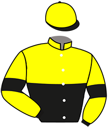 casaque portée par Mlle Lepage A. jockey du cheval de course HERACLES DU LAYON, information pmu ZETURF