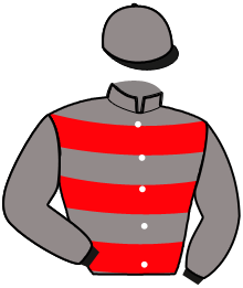 casaque portée par Barassin A. A. jockey du cheval de course ISMIR DE L'ORMERIE, information pmu ZETURF