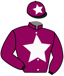 casaque portée par Demuro C. jockey du cheval de course LANDSCAPE, information pmu ZETURF