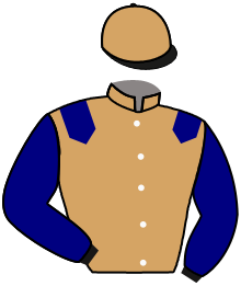 casaque portée par Valle Skar Mlle F. jockey du cheval de course ADORA, information pmu ZETURF