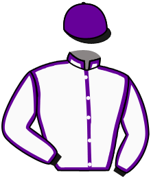 casaque portée par Trullier T. jockey du cheval de course MY CHARMING PRINCE, information pmu ZETURF