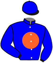casaque portée par Provost D. jockey du cheval de course ZLARA, information pmu ZETURF
