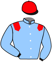 casaque portée par Meury G. jockey du cheval de course MANLY, information pmu ZETURF