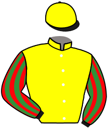 casaque portée par Cheyer Mme Per. jockey du cheval de course IRTYCH, information pmu ZETURF