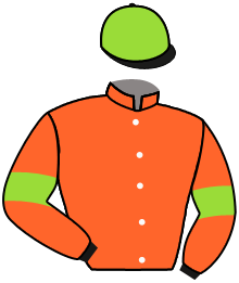 casaque portée par Guyon M. jockey du cheval de course SWEET EXCESS, information pmu ZETURF