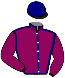casaque portée par Lemaitre A. jockey du cheval de course ALYAQUT, information pmu ZETURF
