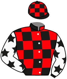 casaque portée par Lebouc Hug. jockey du cheval de course MRS HOLIDAY, information pmu ZETURF