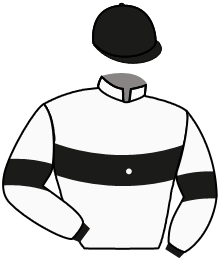 casaque portée par Guyon M. jockey du cheval de course FLEXIBILITY, information pmu ZETURF