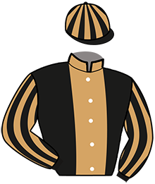 casaque portée par Croisic Mme Est. jockey du cheval de course HAWAI RIVER, information pmu ZETURF