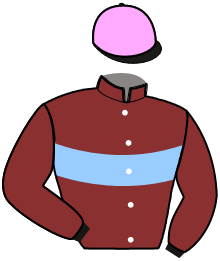 casaque portée par Marie A. jockey du cheval de course LE BOLIDE, information pmu ZETURF