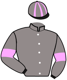 casaque portée par Rochard B. jockey du cheval de course MONZA SEMILLY, information pmu ZETURF