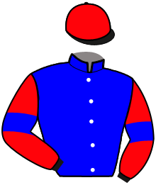 casaque portée par Lamy R. jockey du cheval de course MELLYNGA, information pmu ZETURF